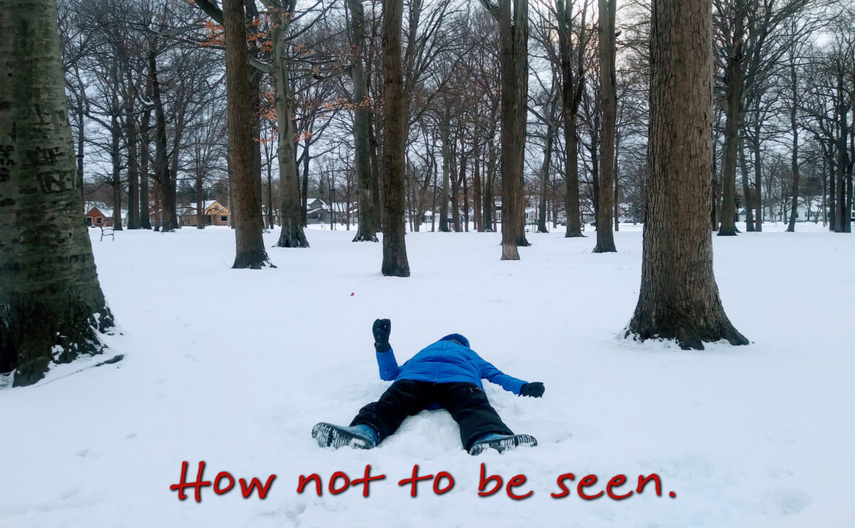 how not to be seen snow